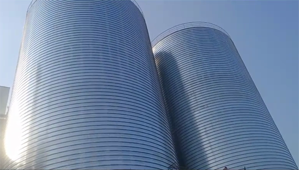 徽州2座混凝土高架卷板仓